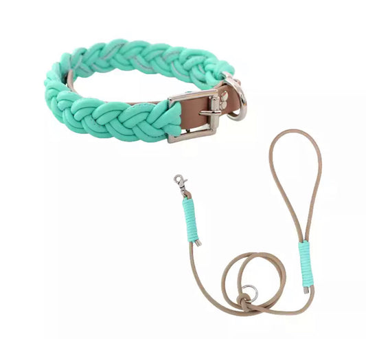 Collar and Lead Set - Mint