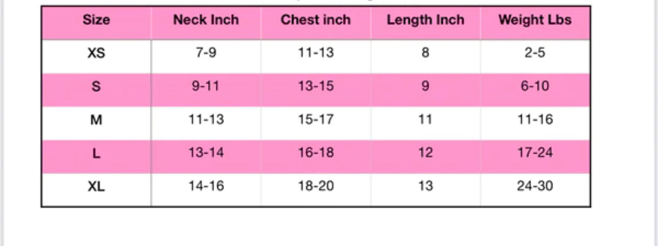 Sniffany Backpack Top - Mint