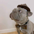 Chewy Vuiton Dog Bow Tie and Hat - Brown