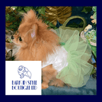 Tinks Tutu Dress - Green/White