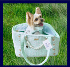 Tweed Pet Carrier - Mint