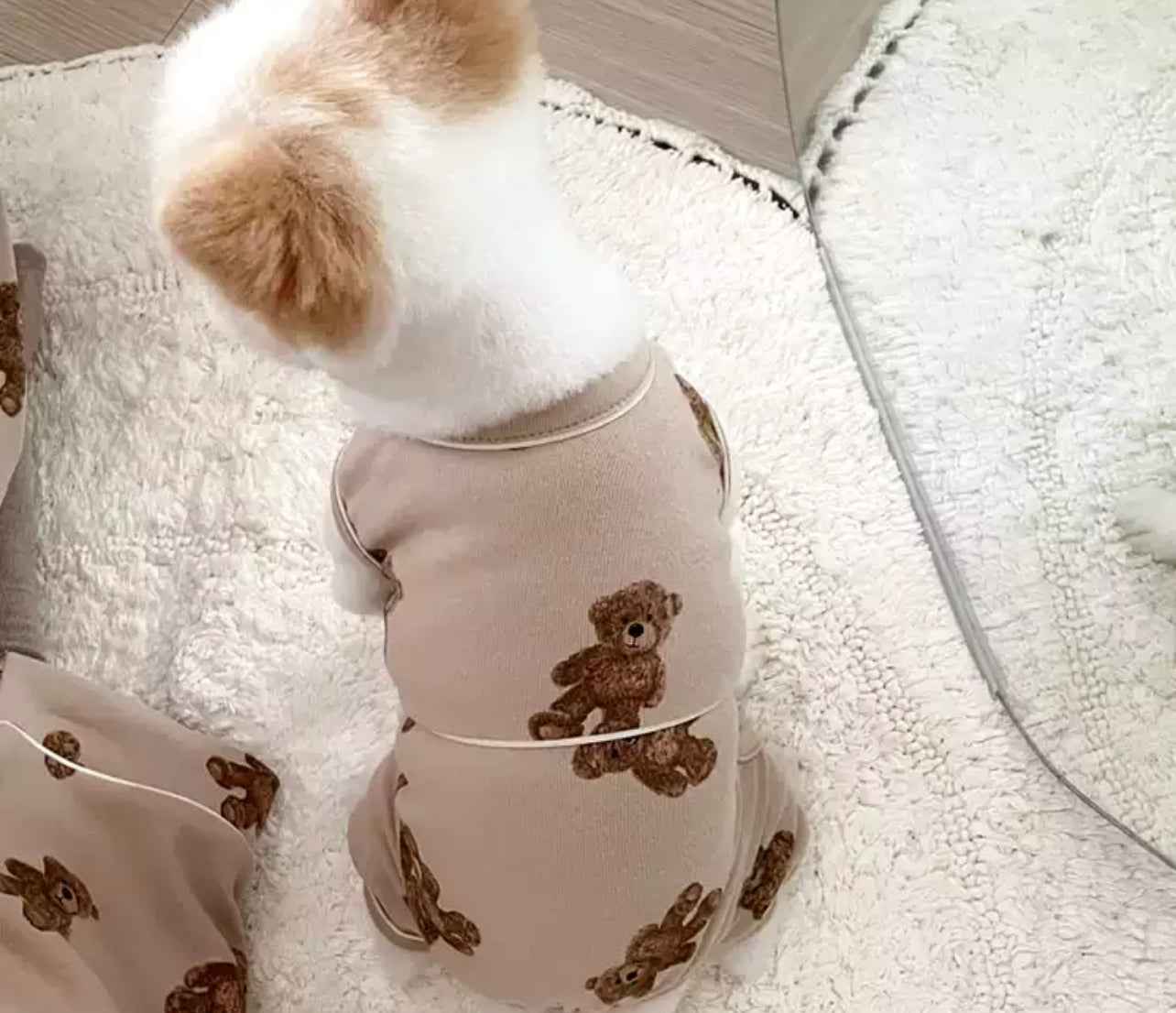Teddy Bear Jumpsuit - White