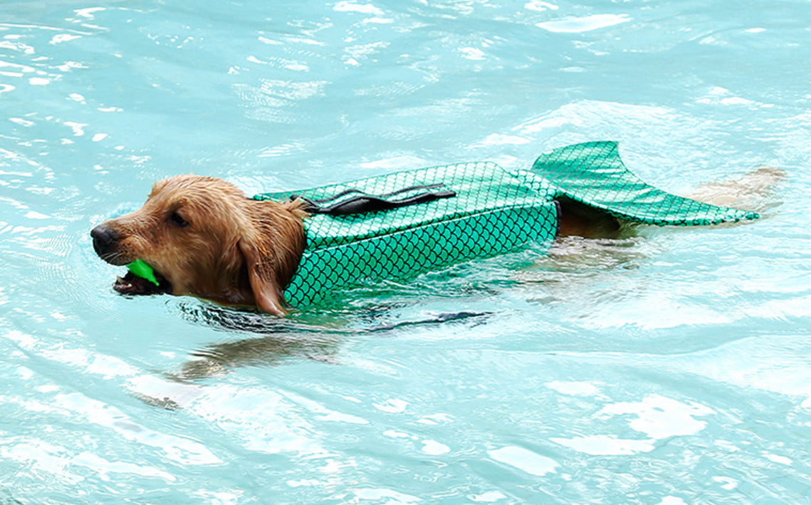 Dog Mermaid Life Jacket - Green