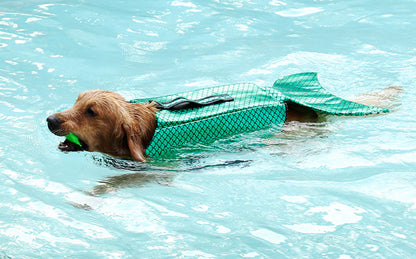 Dog Mermaid Life Jacket - Green