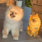 Pomeranian Sculpture Ornament