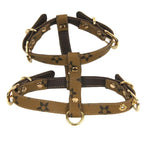 Flower Harness and Lead Set - Beige