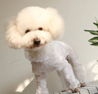 Lace Jumpsuit - White