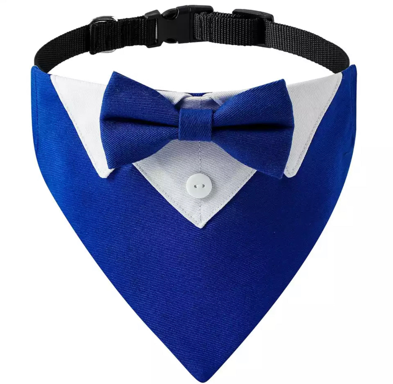 Dog Suit Collar - Royal Blue