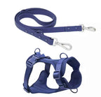 Luxury Dog Waterproof Soft Dog Harness and Lead