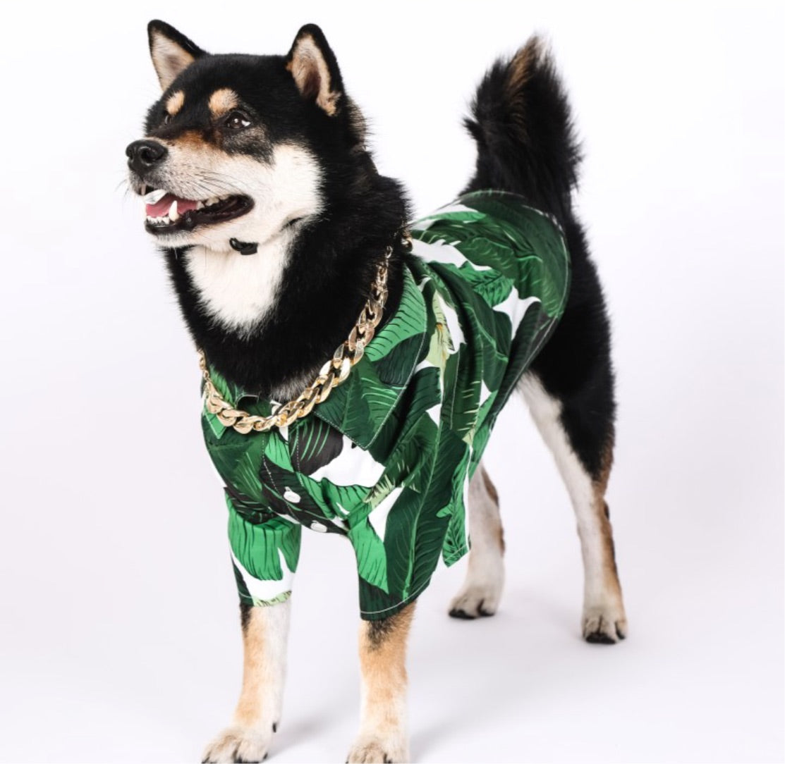 Leaf Print Shirt - Green/White