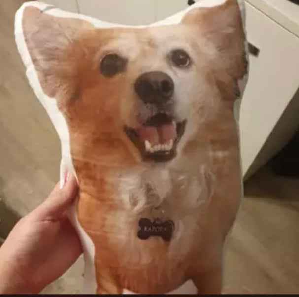 Personalised Dog Cushion