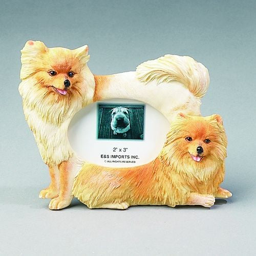 Pomeranian Picture Frame 2x3