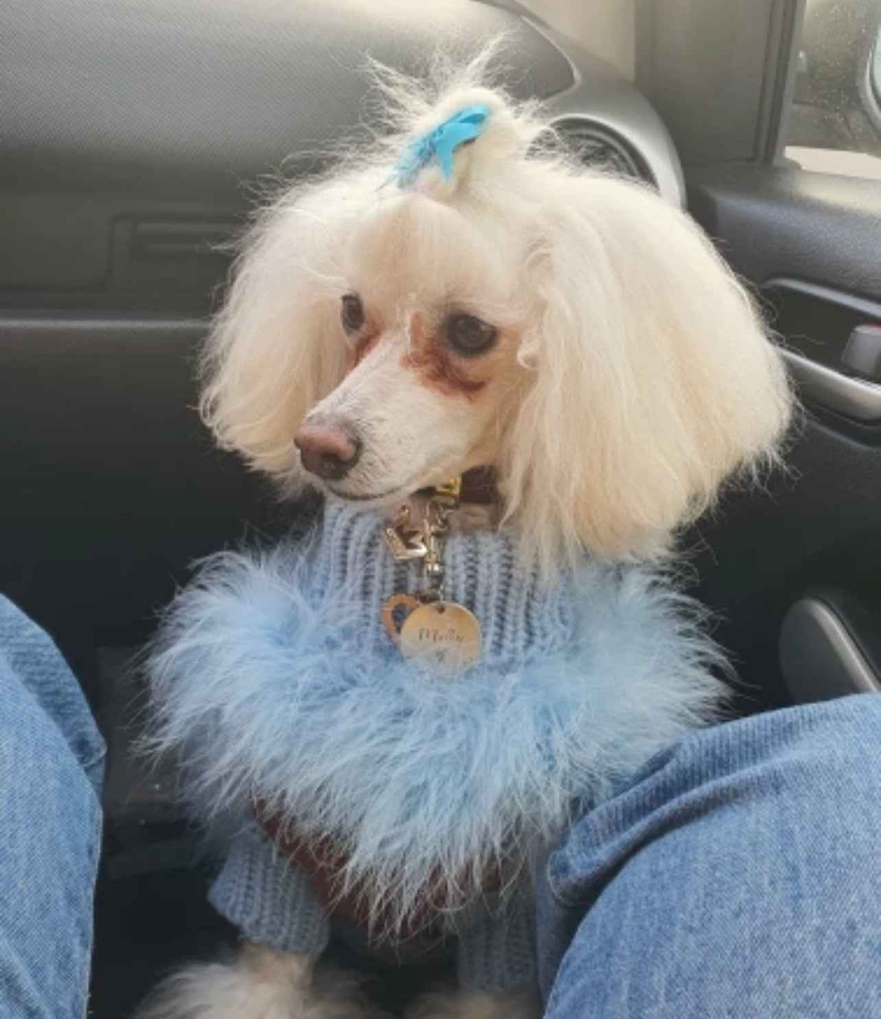 Faux Feather Dog Knit Jumper - Blue