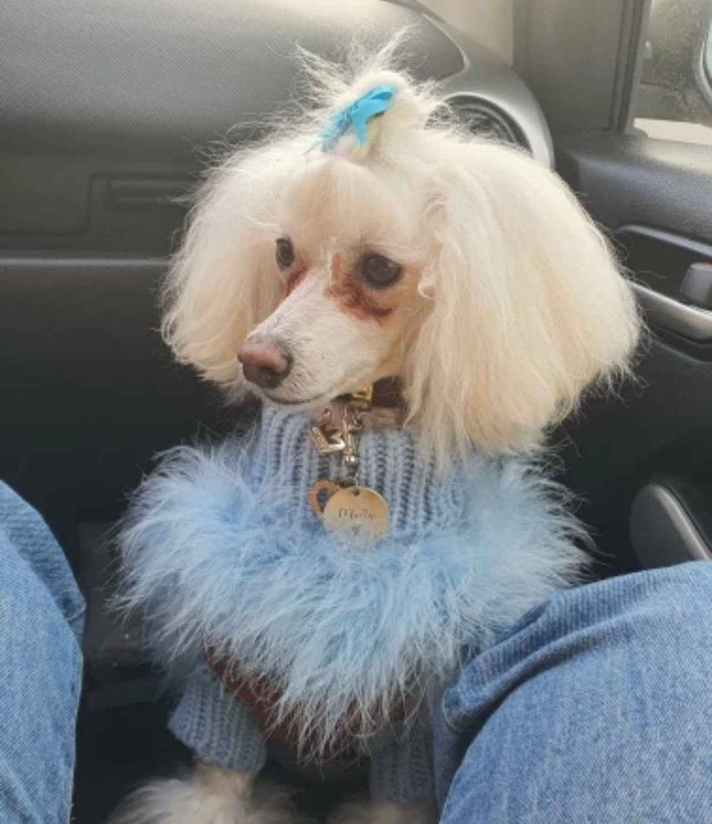 Faux Feather Dog Knit Jumper - Blue