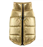 Gold D Ring Dog Jacket