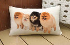Pomeranian Pillow Cushion Cover