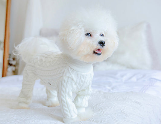 Hand Knitted Dog Jumpsuit - White