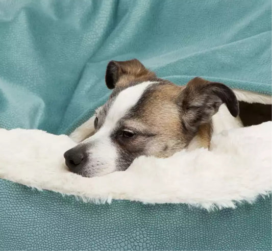 Faux Fur Semi Closed Textured Dog Bed - Mint