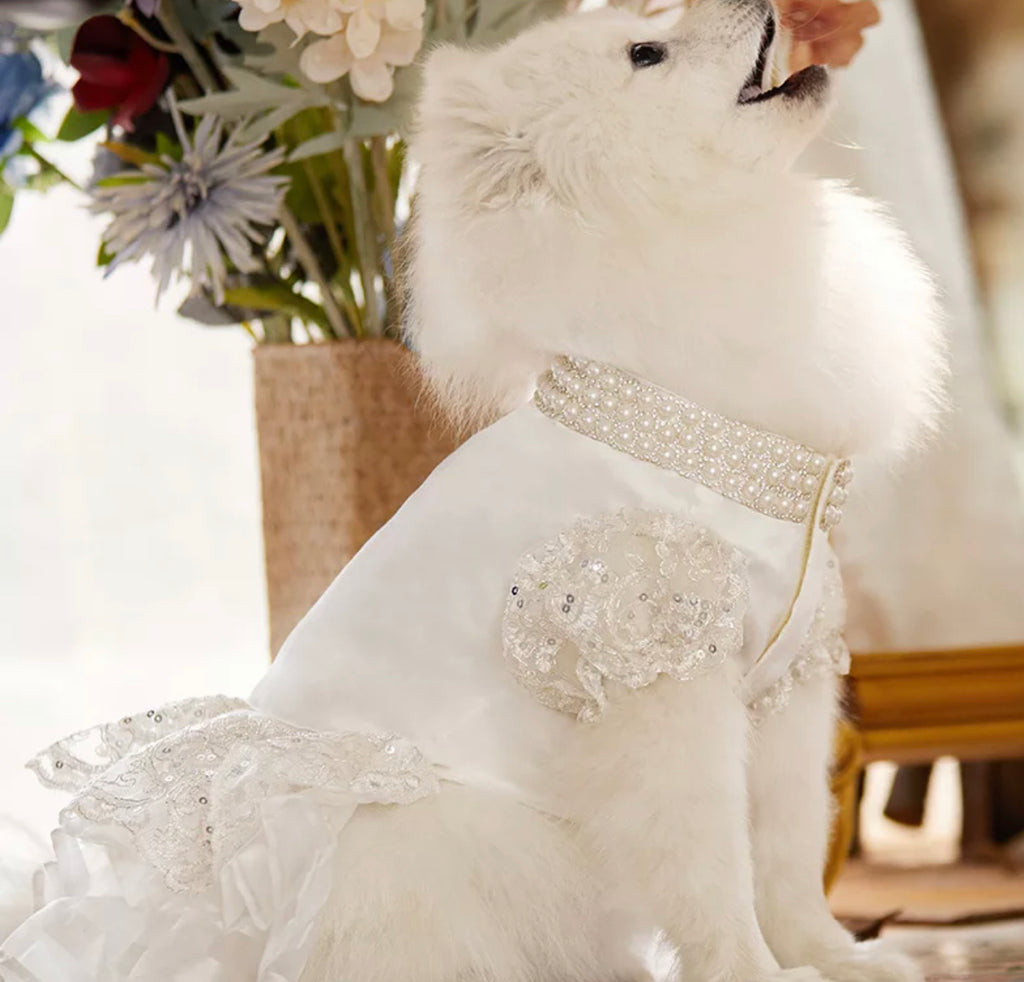 Pearl Collar Sequin Wedding Gown with Tulle - White