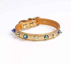 Gold Dog Collar - Beetle Spikes 🪲