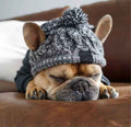 Knitted Dog Hat - Grey