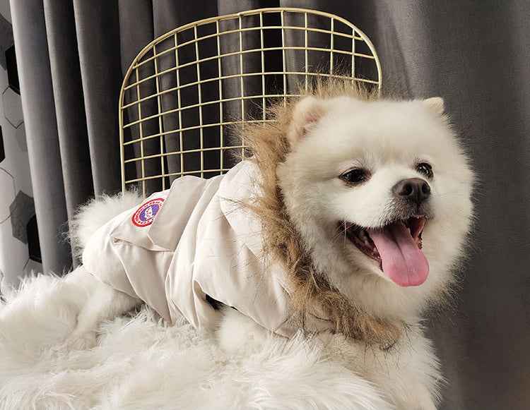 Faux Fur Collar Trim Dog Gilet - Cream