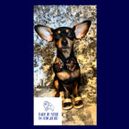 Flower Dog Boots - Brown