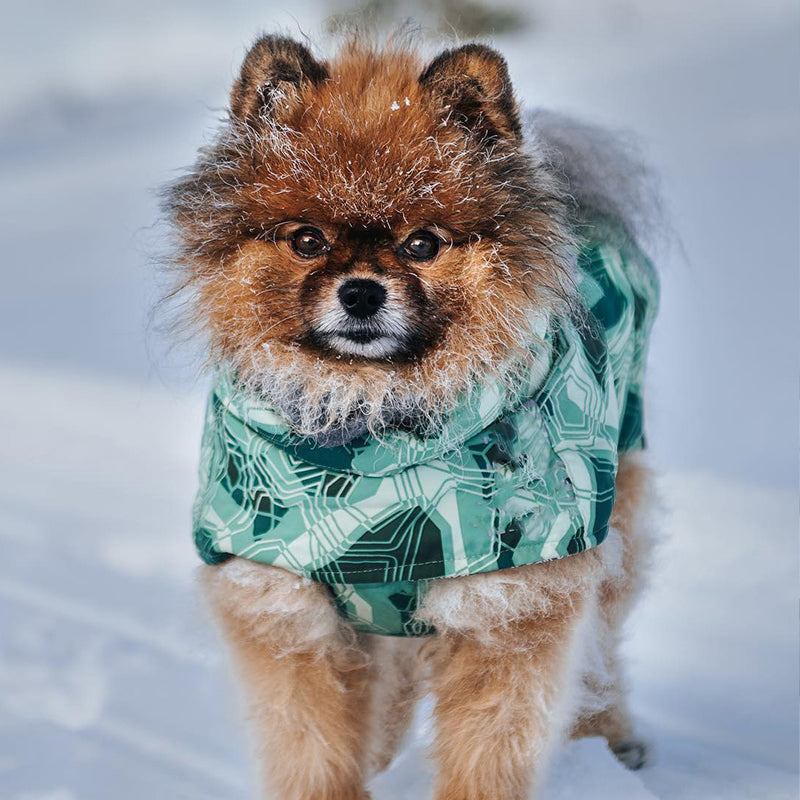 Dog Cape Jacket - Green
