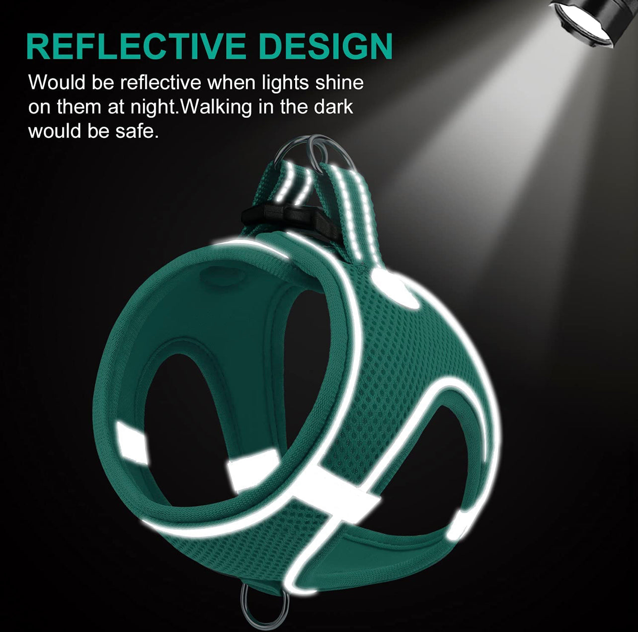 Reflective Step In Harness - Aqua
