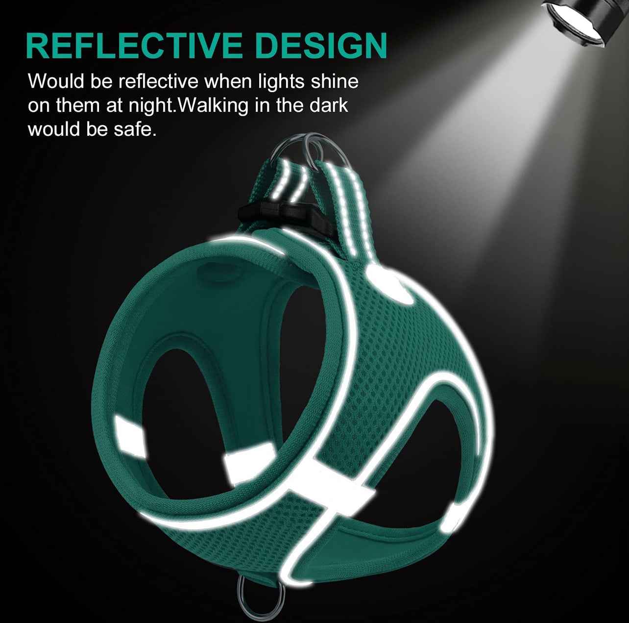 Reflective Step In Harness - Aqua