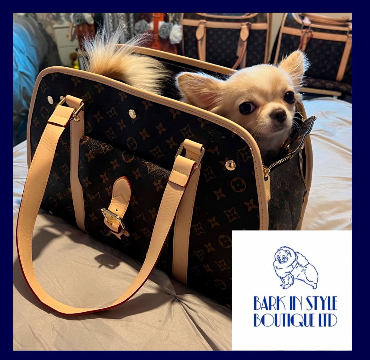 Pet Carrier Handbag - Brown