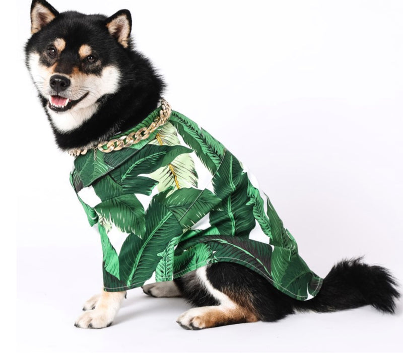 Leaf Print Shirt - Green/White