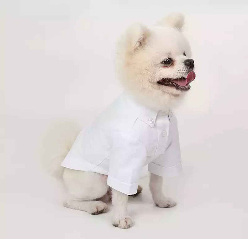 Dog Shirt with Buttons - White