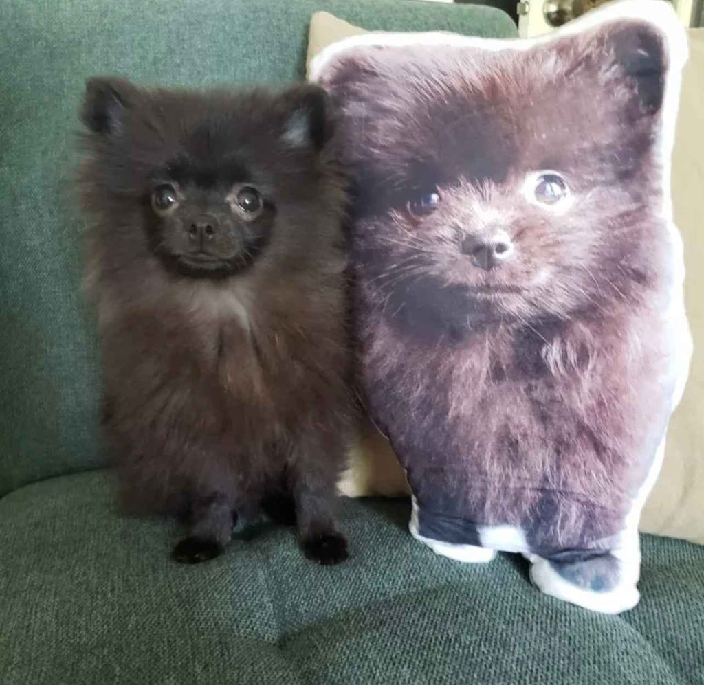 Personalised Dog Cushion