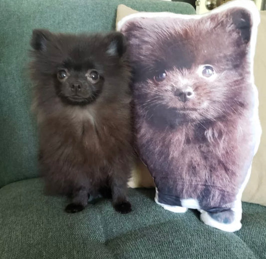 Personalised Dog Cushion
