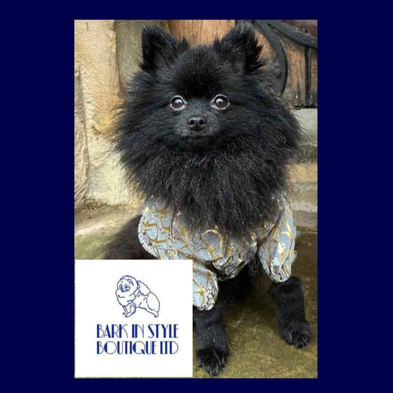 Dogior Light Reflective Dog Rain Coat - Gold/Silver
