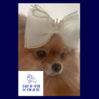 Queenie Crown Bow Hair Clip