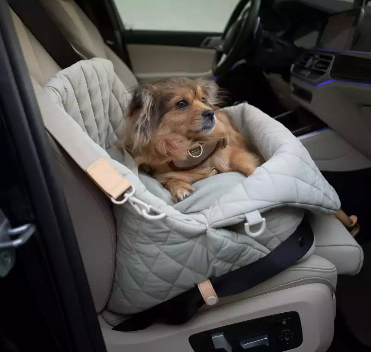 Pet Carrier - Grey