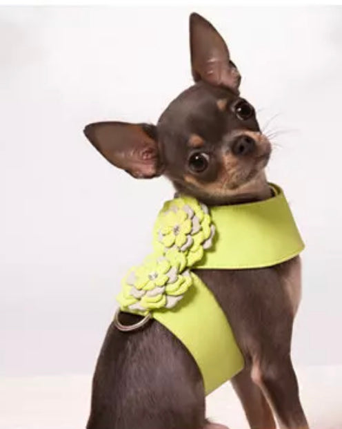 Tinks Floral Harness & Lead Set - Green