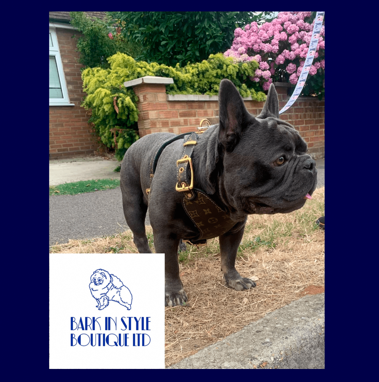 Luxury Large Breed Dog Harness