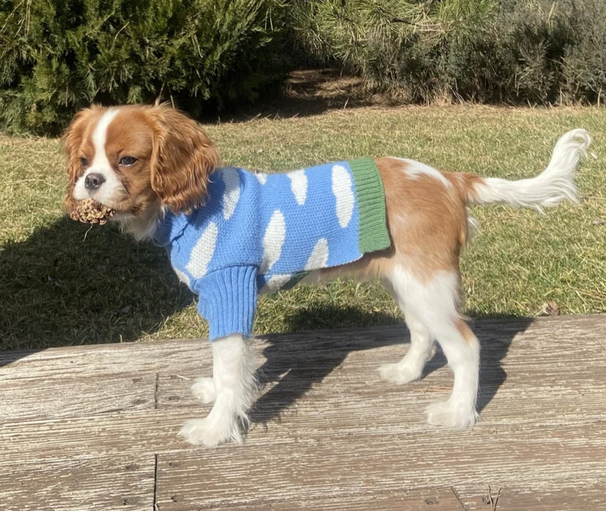 Dreamy Jumper - Blue