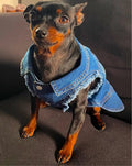 Denim Dog Jacket - Dark Blue