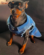 Denim Dog Jacket - Dark Blue
