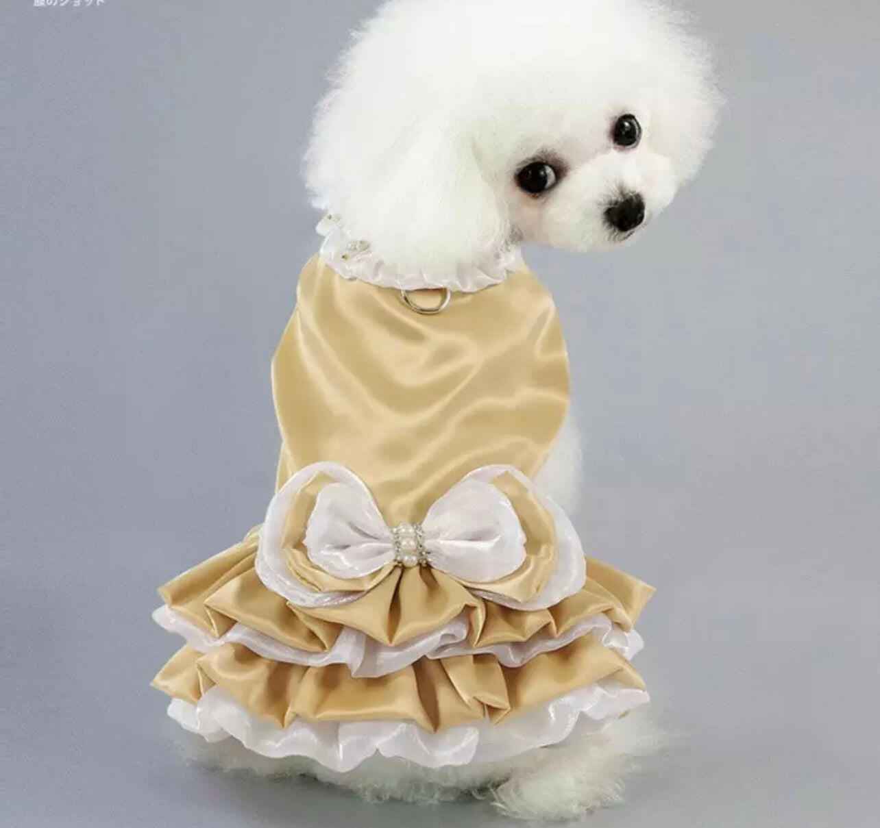 Gold D-Ring Pearl Dress with Matching Lead