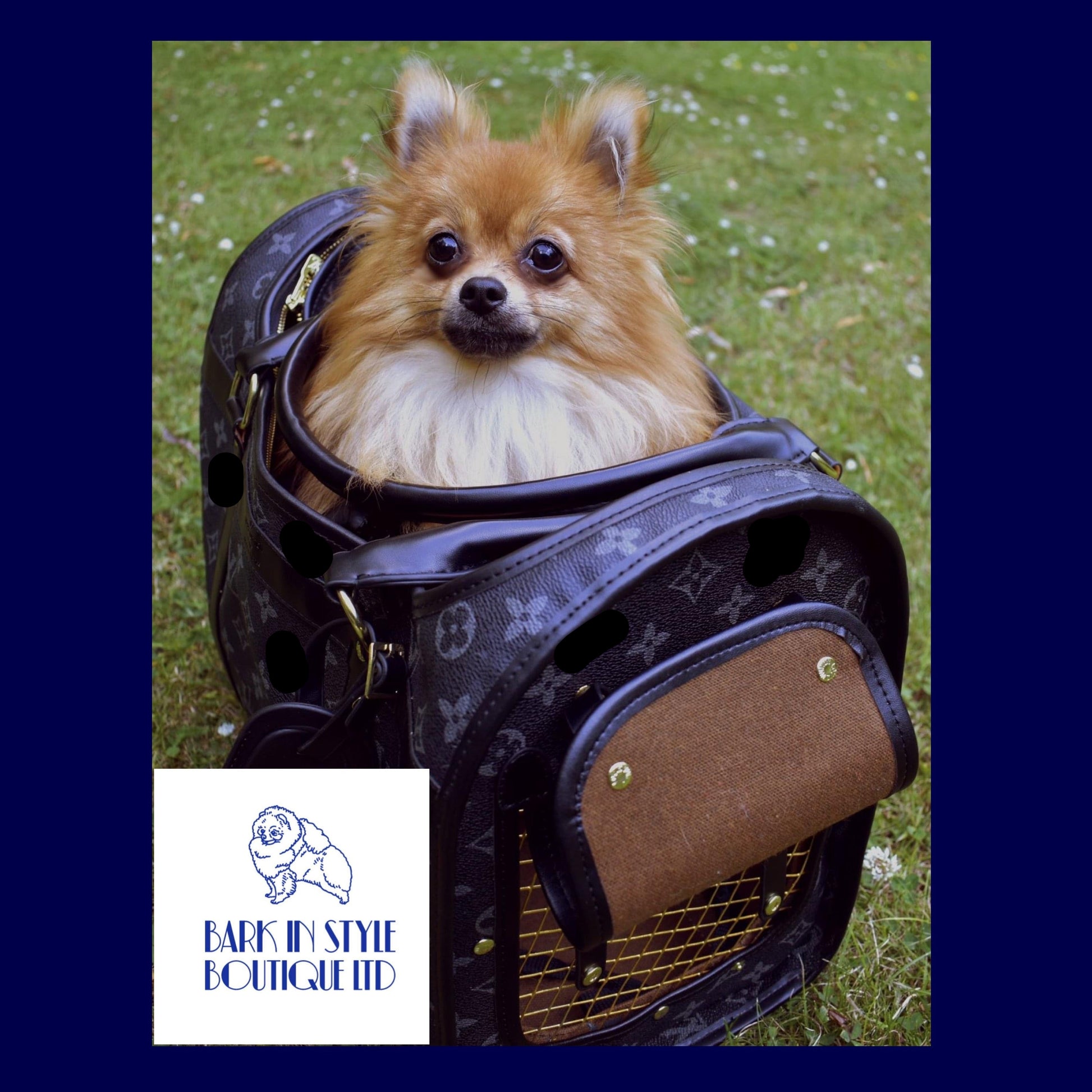Luxury Pet Carrier - Black