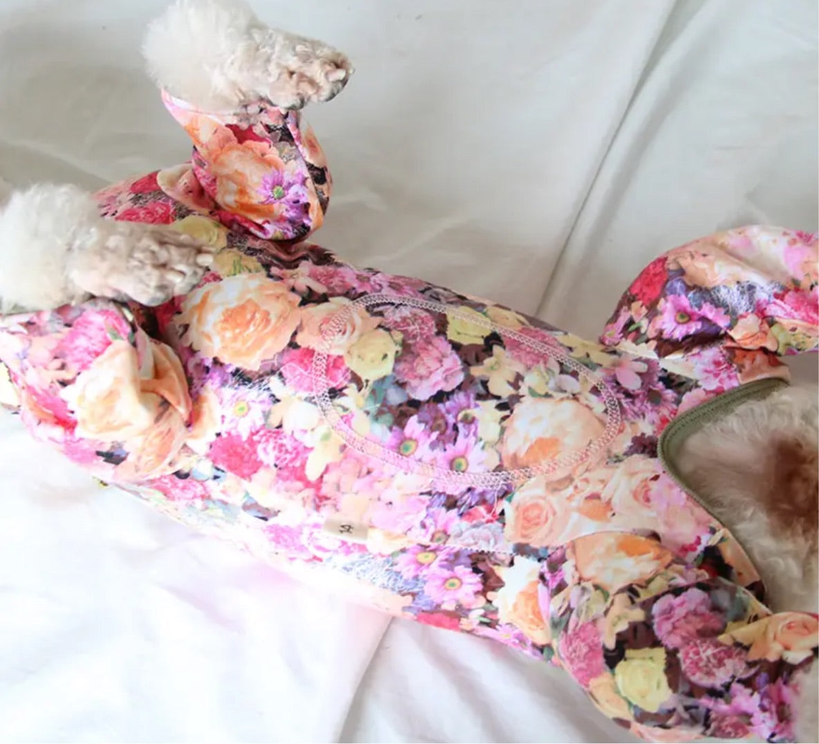 Roses Dog Jumpsuit - Multi