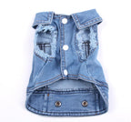 Denim Dog Jacket - Blue