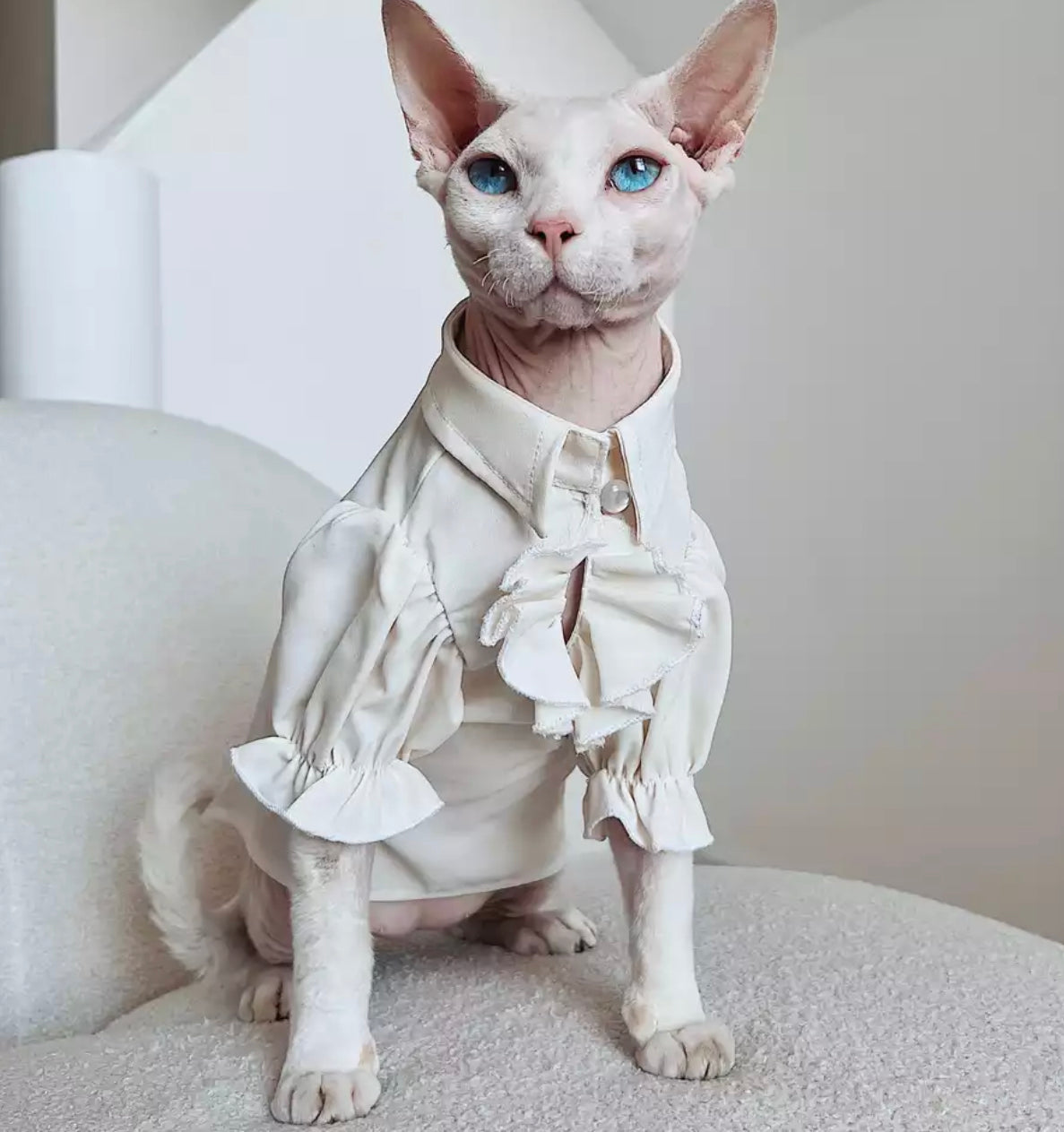 Royalty Ruffle Pet Shirt - Off White