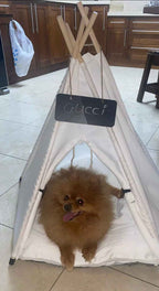TeePee Dog Tent - White