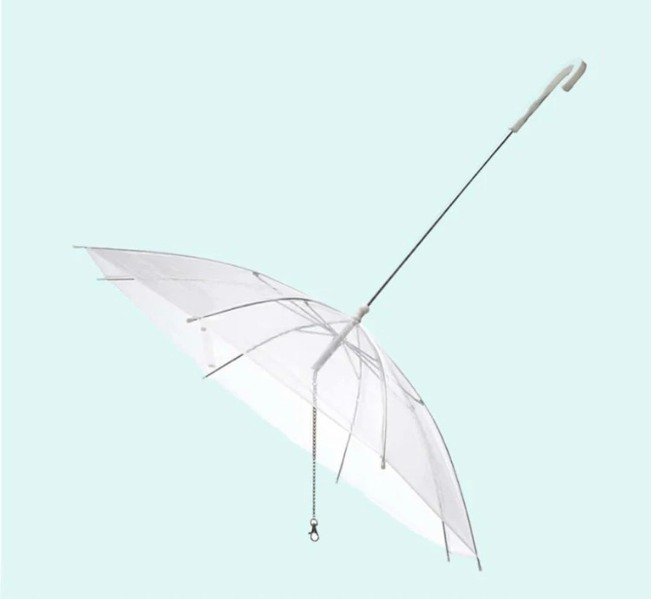 Pet Umbrella Leash - Clear